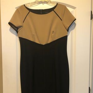 Ann Taylor Dress
